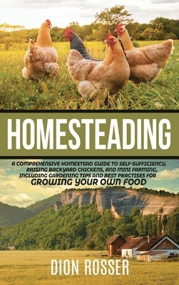 bokomslag Homesteading