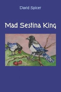 bokomslag Mad Sestina King