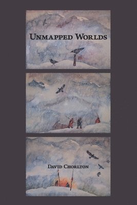 bokomslag Unmapped Worlds