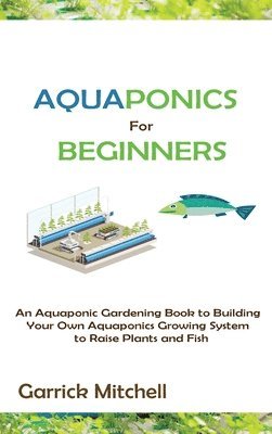 Aquaponics for Beginners 1
