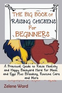 bokomslag The Big Book of Raising Chickens for Beginners