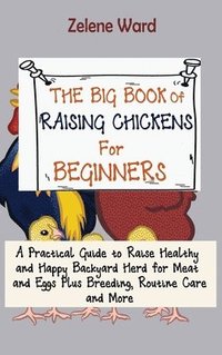 bokomslag The Big Book of Raising Chickens for Beginners