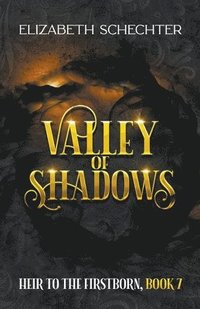 bokomslag Valley of Shadows