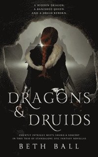 bokomslag Dragons & Druids