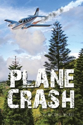 bokomslag Plane Crash