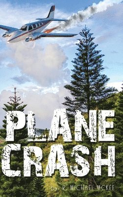 bokomslag Plane Crash