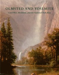 bokomslag Olmsted and Yosemite