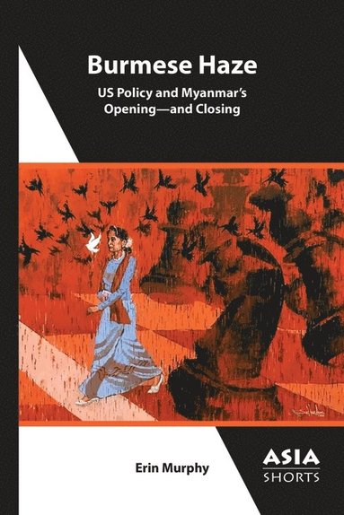 bokomslag Burmese Haze - US Policy and Myanmar?s Opening - and Closing