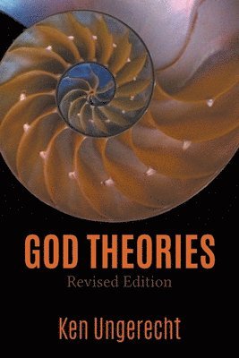 bokomslag God Theories