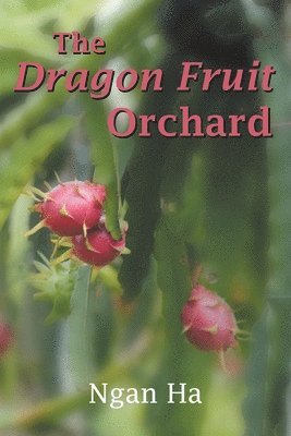 bokomslag Dragon Fruit Orchard