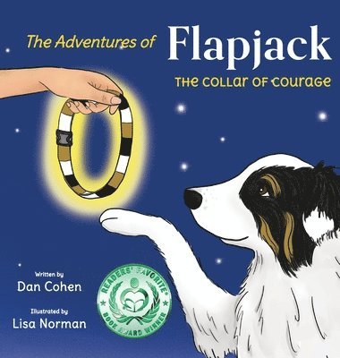 bokomslag Adventures of Flapjack