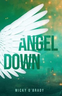 bokomslag Angel Down