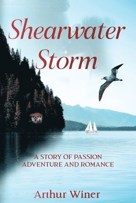 bokomslag Shearwater Storm