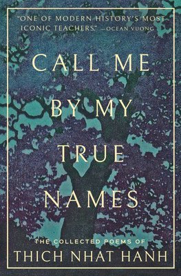 Call Me By My True Names 1