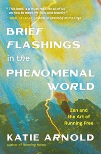 bokomslag Brief Flashings in the Phenomenal World