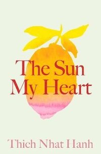 bokomslag The Sun My Heart