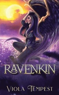 bokomslag Ravenkin