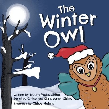 bokomslag The Winter Owl