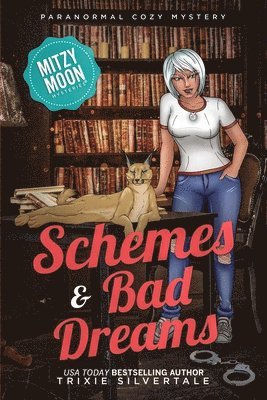 Schemes and Bad Dreams 1