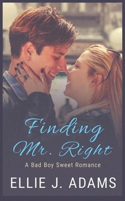 bokomslag Finding Mr. Right