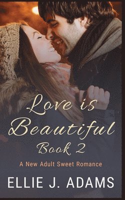 Love is Beautiful Book 2 1