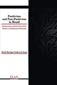 bokomslag Positivism and Post-Positivism in Brazil: Addressing judicial discretion within jurisdictional remedy