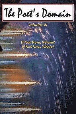 Wilson, J Scott Wilson, J. Scott Wilson - Poet's Domain, Vol.36, Häftad