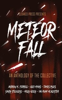 bokomslag Meteor Fall