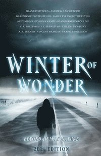 bokomslag Winter of Wonder