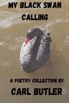 Carl Butler, Amanda Benton - My Black Swan Calling, Häftad