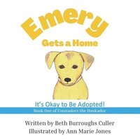 bokomslag Emery Gets a Home