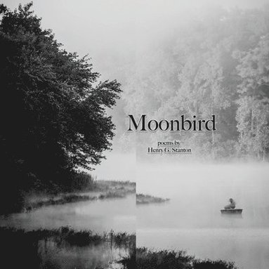 bokomslag Moonbird