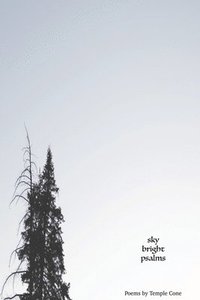 bokomslag sky bright psalms