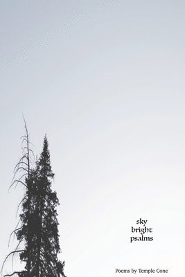 bokomslag sky bright psalms