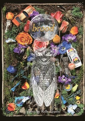 Kelly Granito - Brood, Häftad