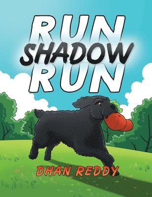 Dhan Reddy - Run Shadow Run, Häftad
