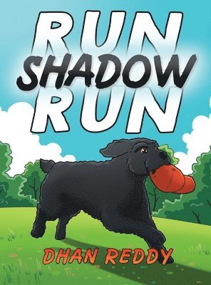 Dhan Reddy - Run Shadow Run, Inbunden