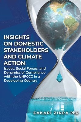 bokomslag Insights on Domestic Stakeholders and Climate Action