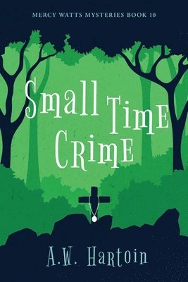 bokomslag Small Time Crime