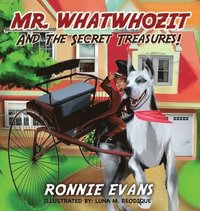 bokomslag Mr. Whatwhozit