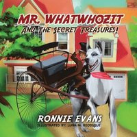 bokomslag Mr. Whatwhozit