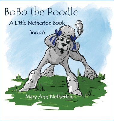 bokomslag The Little Netherton Books