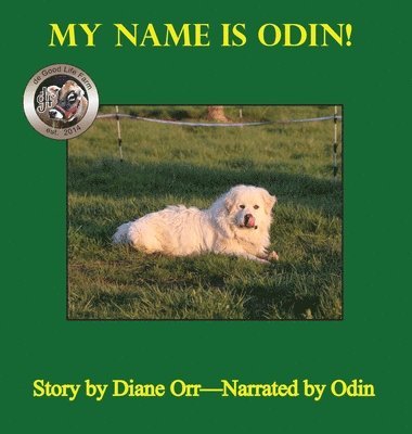 My Name is Odin 1