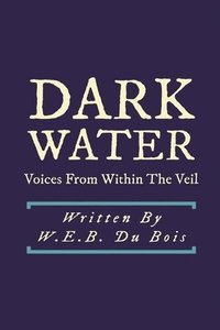 bokomslag Darkwater: Voices From Within the Veil