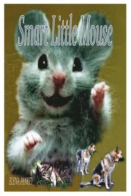 Smart Little Mouse 1