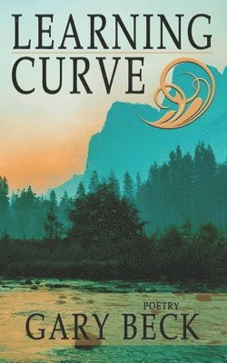 Gary Beck - Learning Curve, Häftad