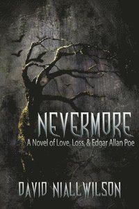 bokomslag Nevermore - A Novel of Love, Loss, & Edgar Allan Poe