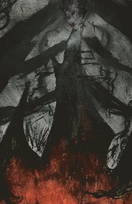 Bryan Fox - Came Str8t Thru Hell's Gates, Häftad