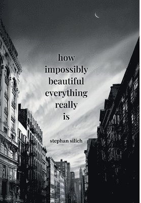Stephan Silich - How Impossibly Beautiful Everything Really Is, Inbunden