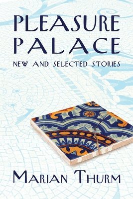 bokomslag Pleasure Palace